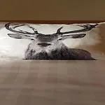 Tranquil In Vielsalm