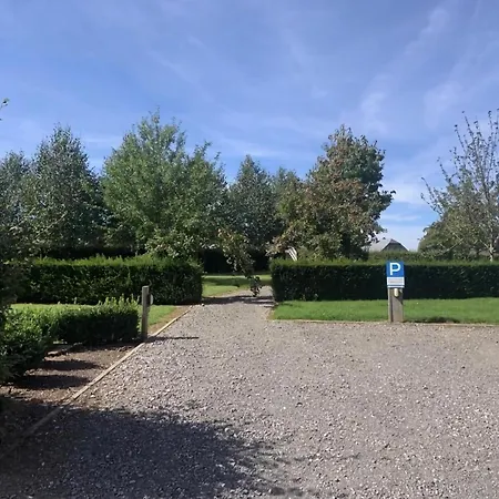 Tranquil In
