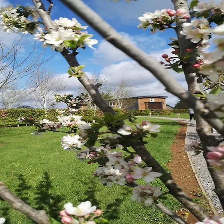 Tranquil In Holiday home