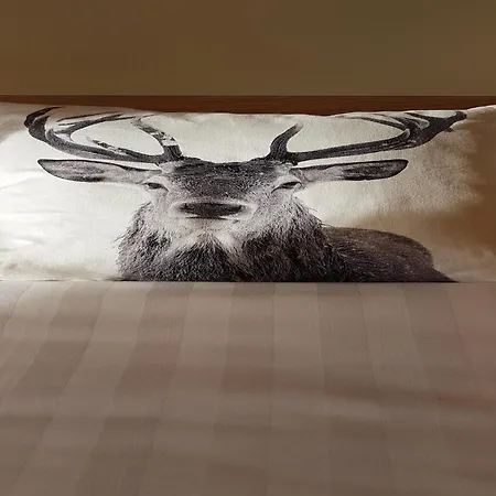 Tranquil In Vielsalm